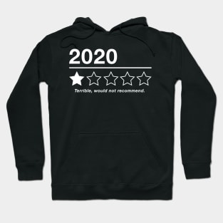 2020 Review - Trending - Would Not Recommend Hoodie